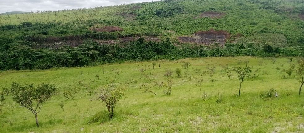 Terrains AFAT