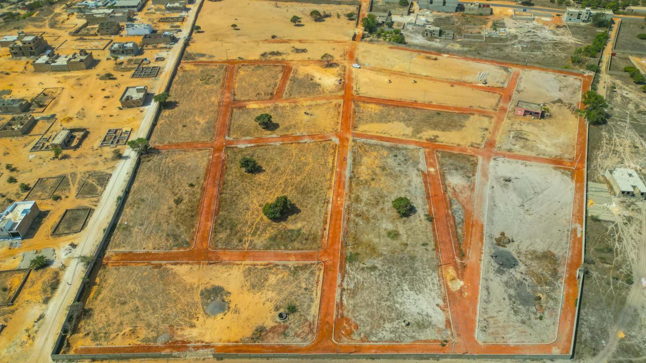 Zone de Bacongo